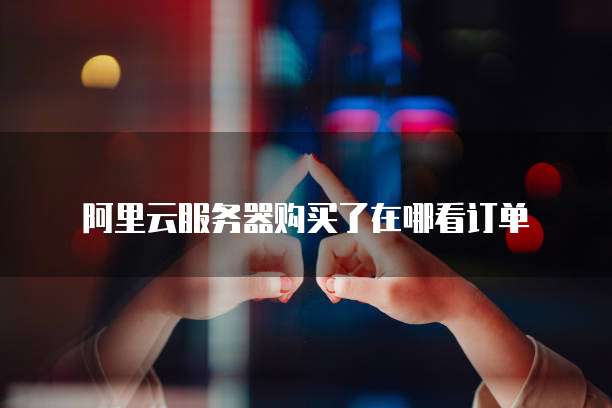 华为云帕鲁服务器如何更新版本的系统?