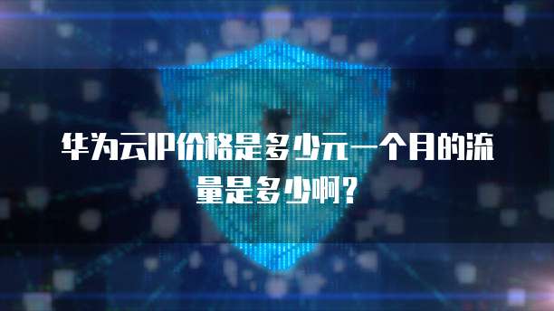 华为云IP价格是多少元一个月的流量是多少啊？