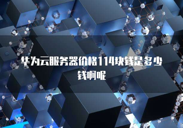 华为云服务器价格114块钱是多少钱啊呢