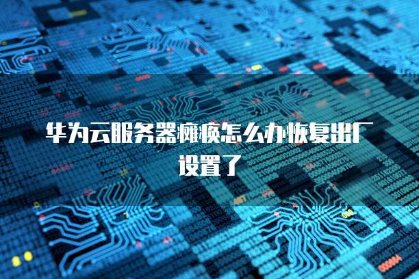 华为云帕鲁服务器链接在哪里打开啊？