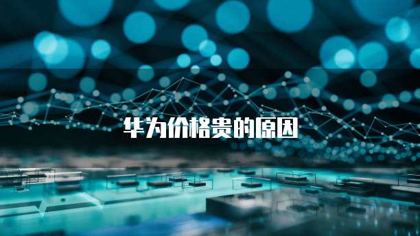 华为云大数据服务中国参与的公司
