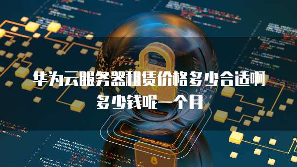 华为云服务器租赁价格多少合适啊多少钱呢一个月