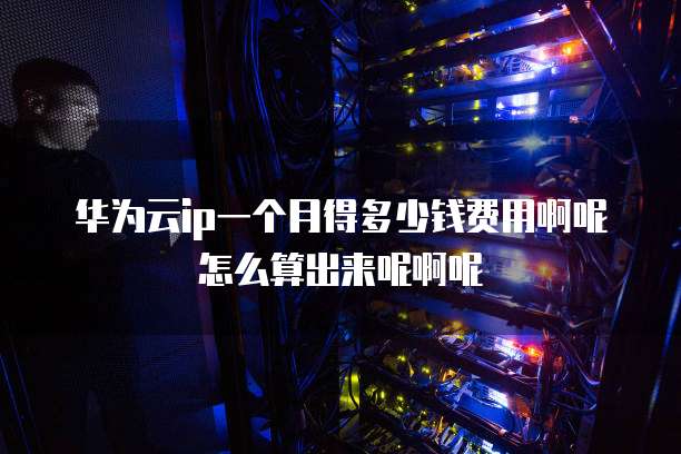华为云ip一个月得多少钱费用啊呢怎么算出来呢啊呢