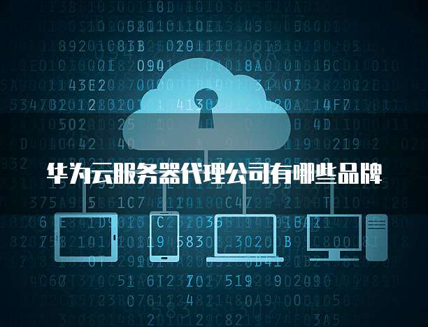 华为云服务器代理公司有哪些品牌