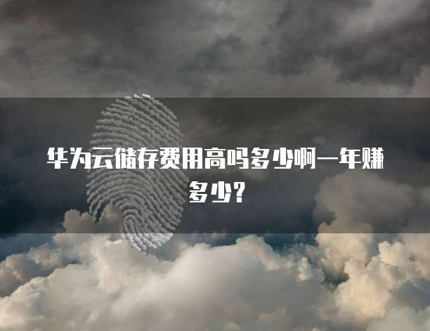 华为云储存费用高吗多少啊一年赚多少?