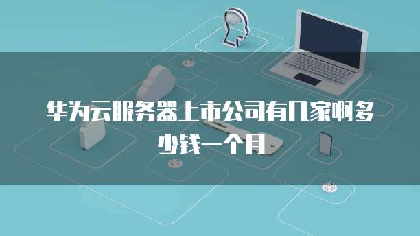 华为云服务器上市公司有几家啊多少钱一个月