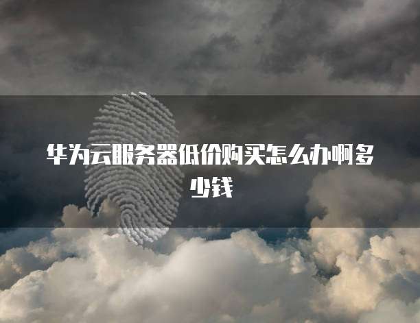 华为云服务器低价购买怎么办啊多少钱