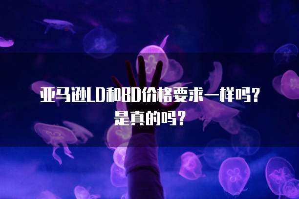 华为云服务器在新加坡的上网使用情况