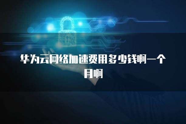 华为云网络加速费用多少钱啊一个月啊