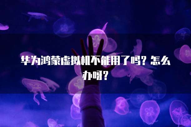 华为云域名注册邮箱验证码获取失败怎么办啊?