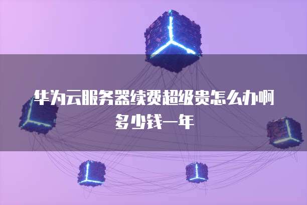 华为云服务器续费超级贵怎么办啊多少钱一年