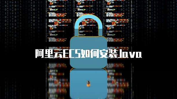 华为云帕鲁服务器进入系统界面后无反应的解决方法
