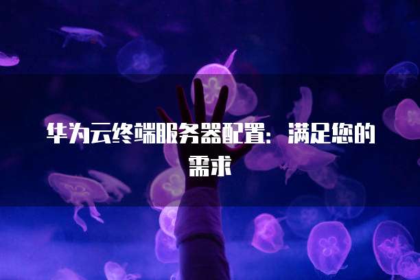 华为云终端服务器配置:满足您的需求