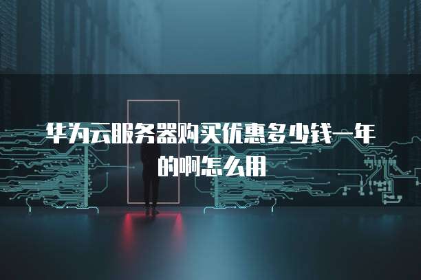 华为云服务器购买优惠多少钱一年的啊怎么用