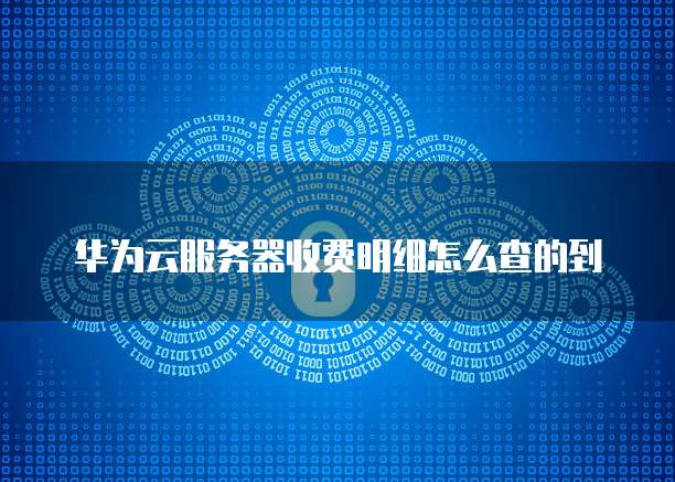 华为云服务器收费明细怎么查的到