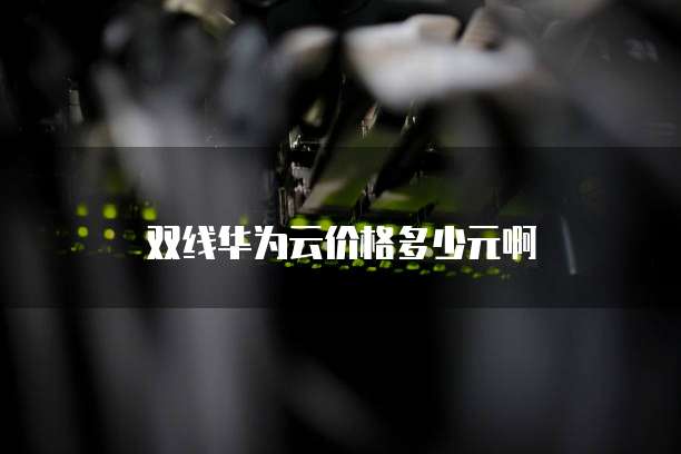 双线华为云价格多少元啊