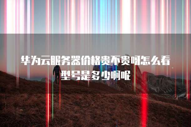 华为云服务器价格贵不贵呀怎么看型号是多少啊呢