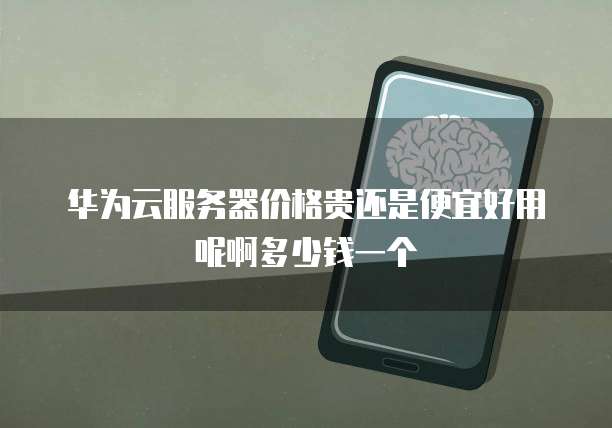 华为云服务器价格贵还是便宜好用呢啊多少钱一个