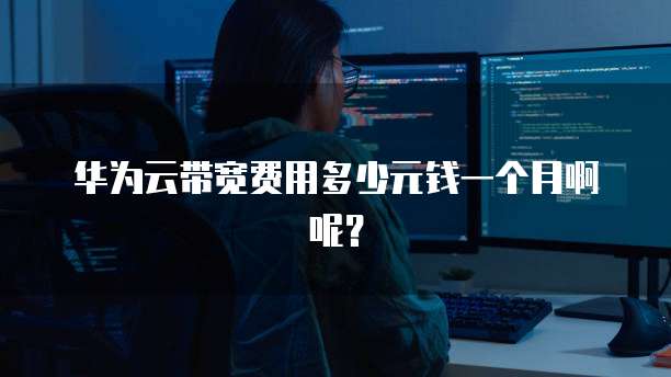 华为云带宽费用多少元钱一个月啊呢?