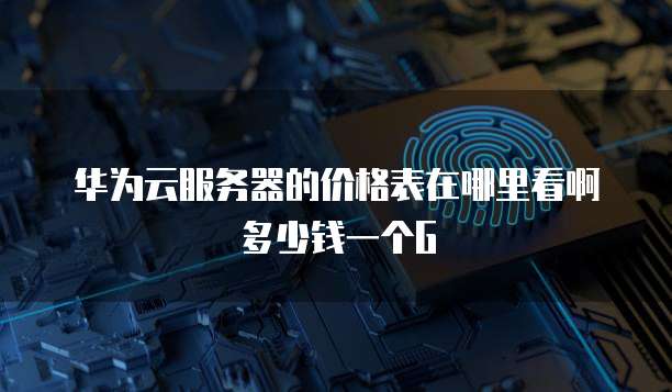 华为云服务器的价格表在哪里看啊多少钱一个G