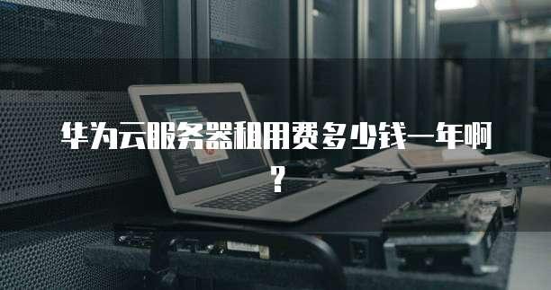 华为云服务器租用费多少钱一年啊?