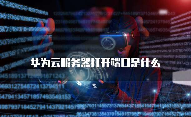 华为云服务器打开端口是什么