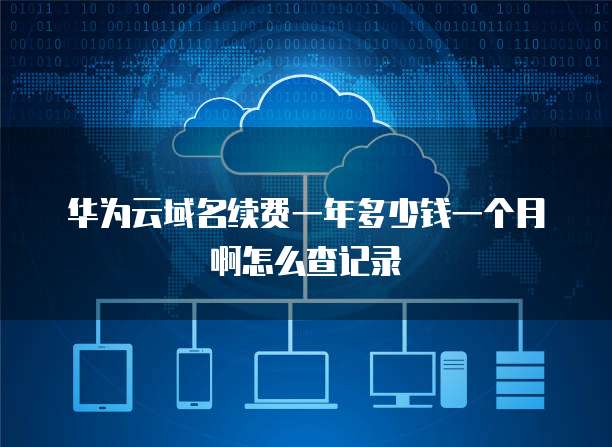华为云域名续费一年多少钱一个月啊怎么查记录