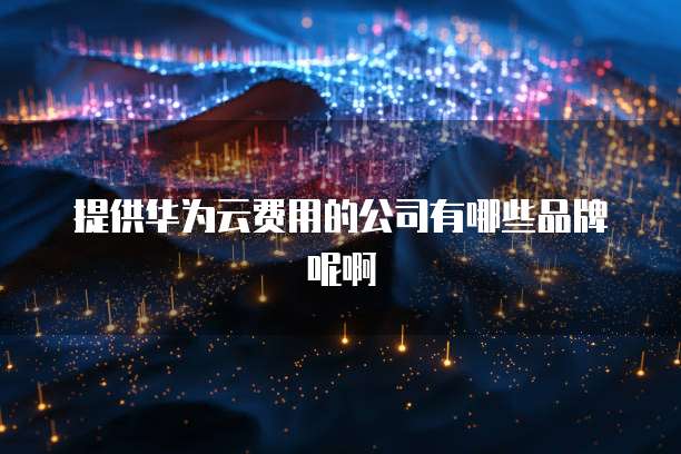 提供华为云费用的公司有哪些品牌呢啊