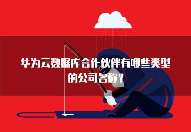 华为云数据库合作伙伴有哪些类型的公司名称?