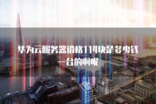 华为云服务器价格114块是多少钱一台的啊呢