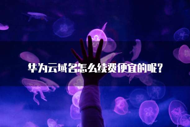 华为云域名怎么续费便宜的呢？