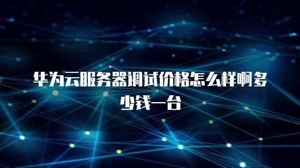 华为云服务器调试价格怎么样啊多少钱一台