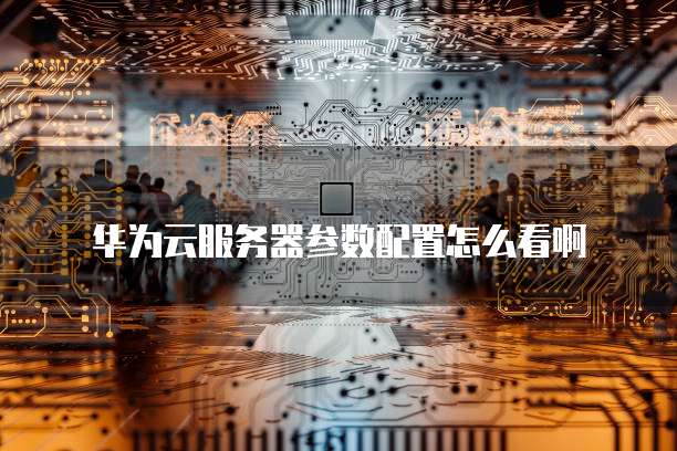 华为云服务器参数配置怎么看啊