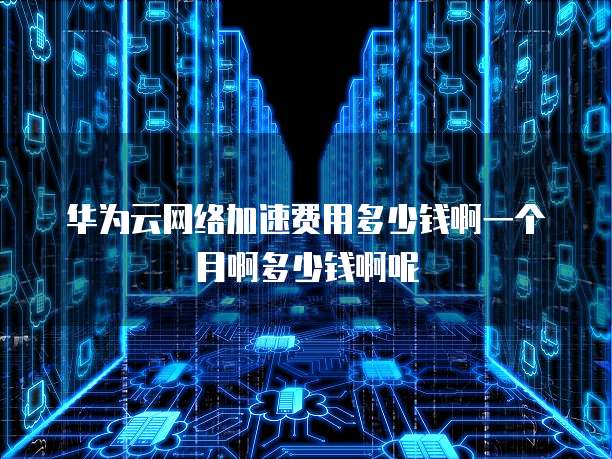 华为云网络加速费用多少钱啊一个月啊多少钱啊呢