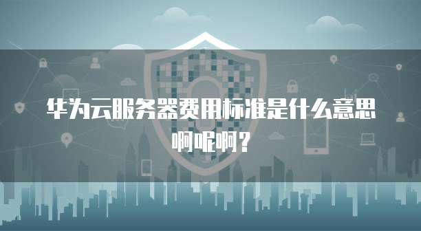 华为云服务器费用标准是什么意思啊呢啊?