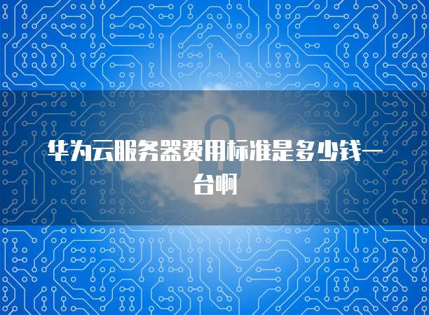 华为云服务器费用标准是多少钱一台啊