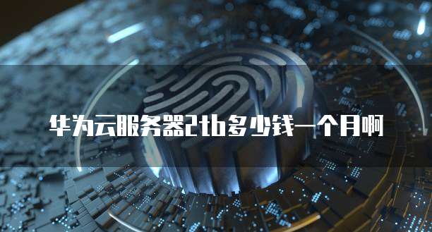 华为云服务器2tb多少钱一个月啊