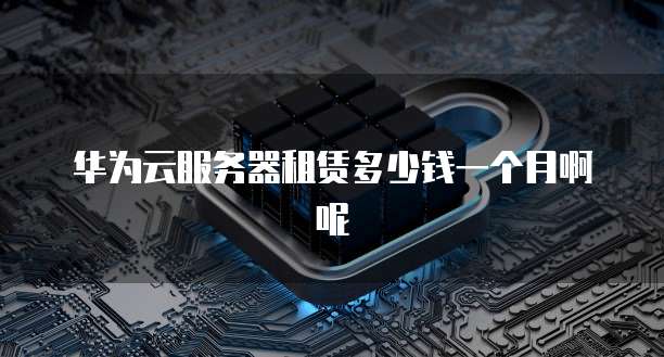 华为云服务器租赁多少钱一个月啊呢
