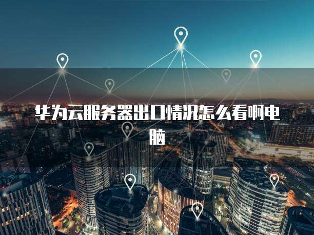 华为云服务器出口情况怎么看啊电脑