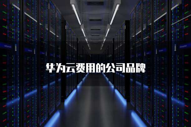 华为云费用的公司品牌
