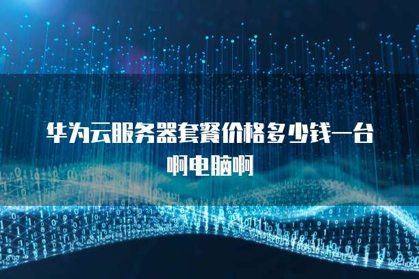 华为云服务器套餐价格多少钱一台啊电脑啊