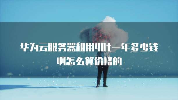 华为云服务器租用40t一年多少钱啊怎么算价格的