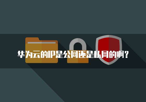华为云的IP是公网还是私网的啊?