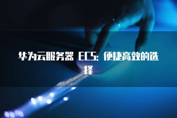 华为云服务器 ECS: 便捷高效的选择