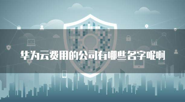 华为云费用的公司有哪些名字呢啊