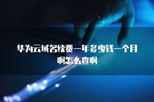 华为云域名续费一年多少钱一个月啊怎么查啊