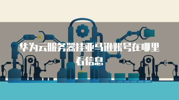 华为云服务器挂亚马逊账号在哪里看信息