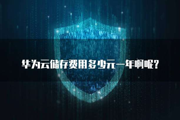 华为云储存费用多少元一年啊呢?