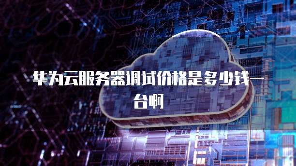 华为云服务器调试价格是多少钱一台啊