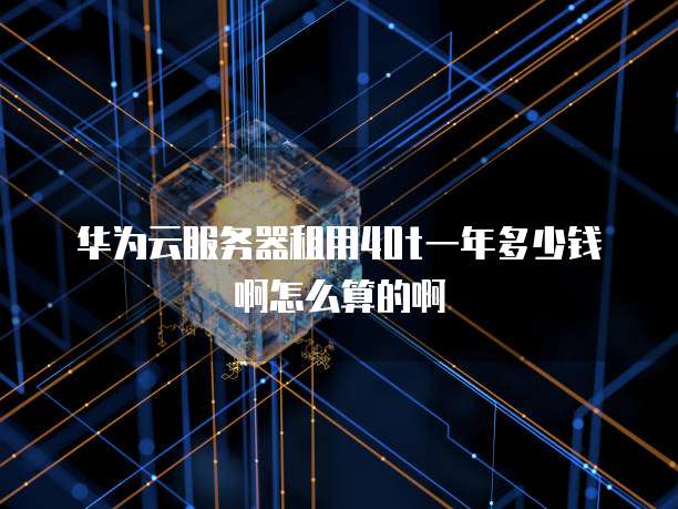 华为云服务器租用40t一年多少钱啊怎么算的啊